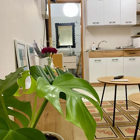 Dori's Wilson At Blloku Neighborhood Apartmán