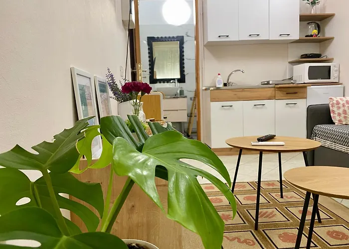 Dori's Wilson At Blloku Neighborhood Apartament